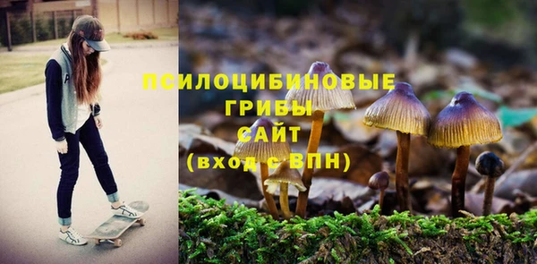 ECSTASY Михайлов
