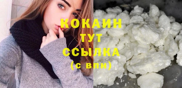 молекула духа Надым