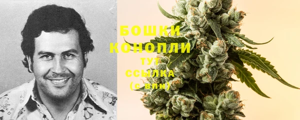 молекула духа Надым