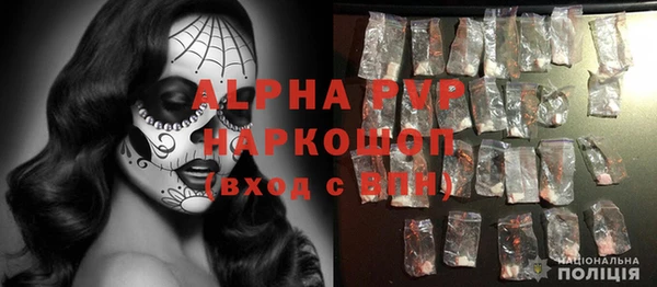 молекула духа Надым