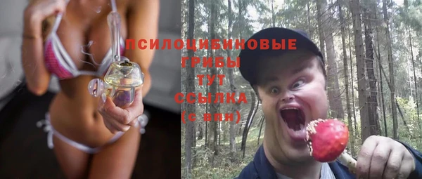 ПСИЛОЦИБИНОВЫЕ ГРИБЫ Навашино